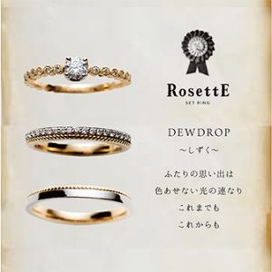 RosettE(ロゼット・しずく)